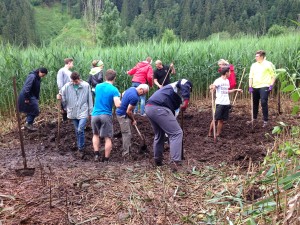 Teichbau 6b und WBU 2016 (32)